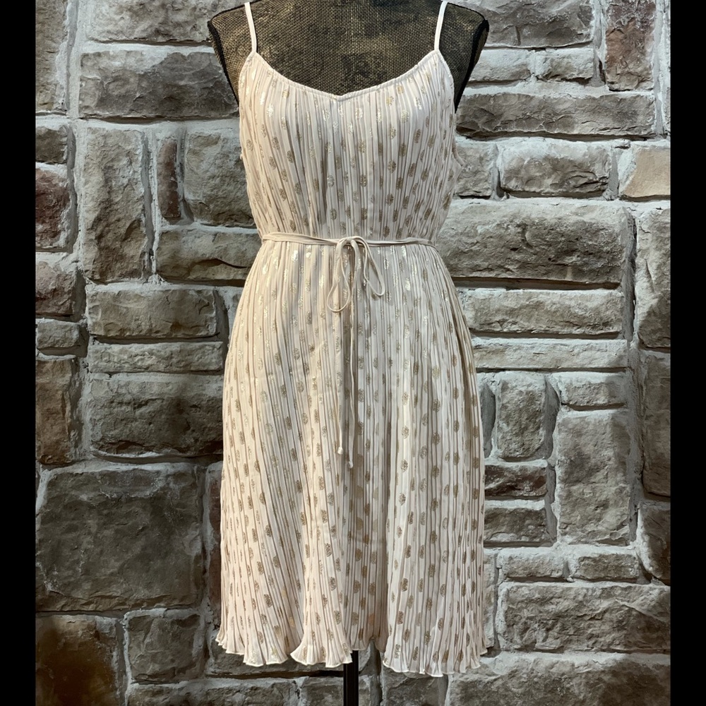 NWOT Express- Metallic Pleated Mini Dress, Size M